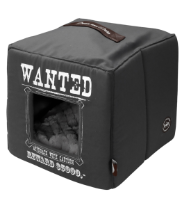 Coussin D&D Wanted Pet Cube...