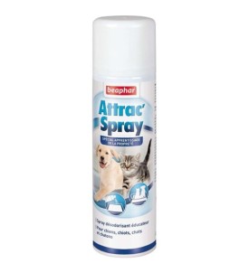 Attract Spray 250Ml