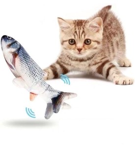 Catch N Play Fish