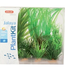 Plantkit Jalaya N°1