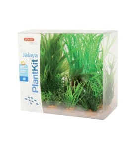 Plantkit Jalaya N°1