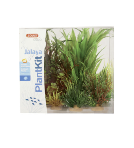 Plantkit Jalaya N°3