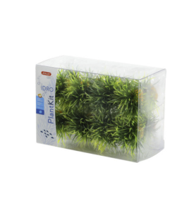 Plantkit Idro Small Plant X16