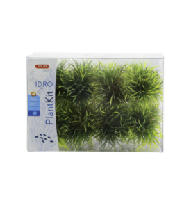 Plantkit Idro Small Plant X24