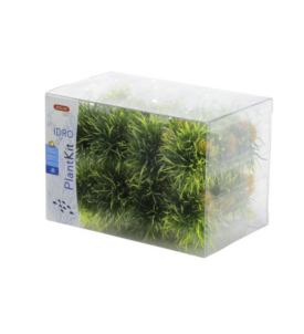 Plantkit Idro Small Plant X24