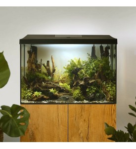 Aquarium Set Leddy Pap-60...