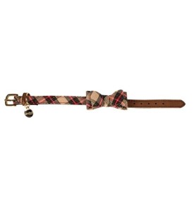 Collier Scottish Beige T35...