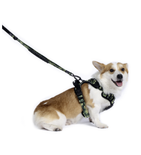 Hiking Harness - S /...