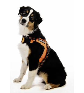 Hiking Triangle Harness - M...