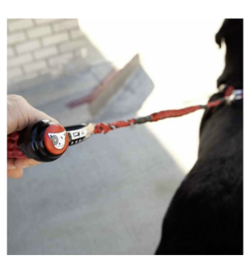 Laisse Ezydog Cujo 1.02M Rouge