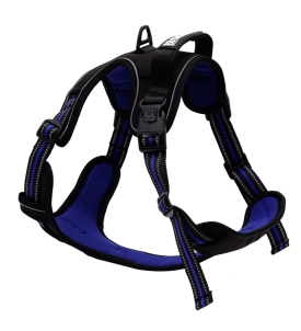 Hiking Harness - Xl /...