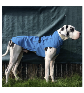 Dog Rain Coat -Xl