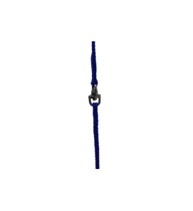 Laisse Presentation 3Mm Bleue