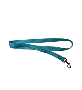 Laisse Nylon 1M 20Mm Turquoise