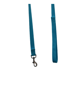 Laisse Nylon 1M 20Mm Turquoise