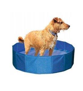 Piscine Pour Chien D160Cm