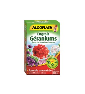Engrais geraniums  plantes...