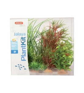 Plantkit Jalaya N°4