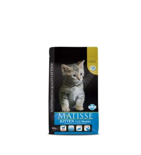 Matisse - Chaton - 1.5kg