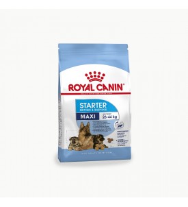 Royal Canin | Croquette Starter Maxi Mother & Baby - 4kg