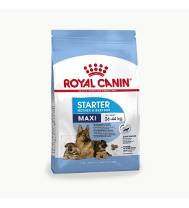 Royal Canin | Croquette Starter Maxi Mother & Baby - 15KG