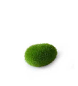 Aqua Della Moss Ball-Small-...