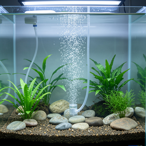 Diffuseur Bubble Bar installé au fond d’un aquarium, produisant un débit régulier de fines bulles parmi les plantes et les pierres.